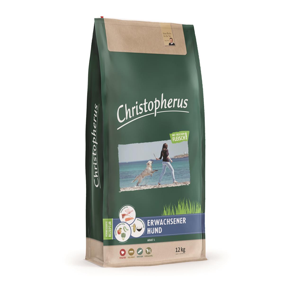 Christopherus Dog Erwachsener Hund