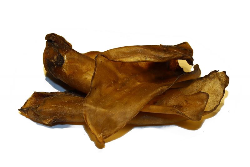 Rinder Ohr XL 50 Stück